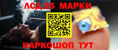 крисы Новозыбков