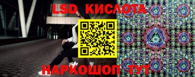 крисы Новозыбков