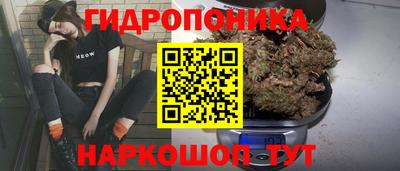 2c-b Новодвинск