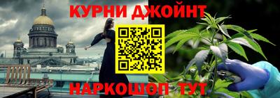 крисы Новозыбков