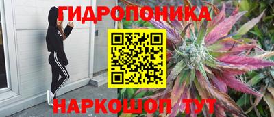 амф Новокубанск