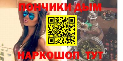 крисы Новозыбков