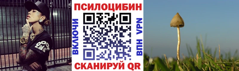купить наркоту  Соликамск  Псилоцибиновые грибы мицелий 