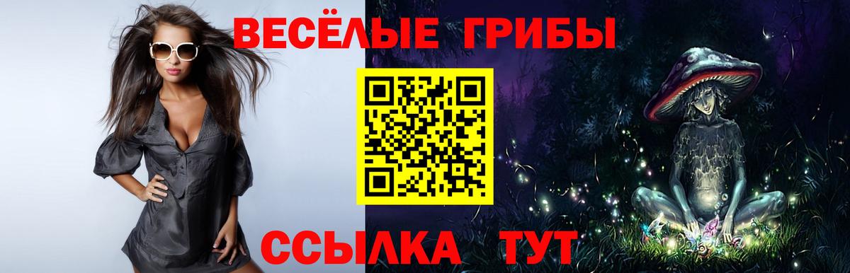 Псилоцибиновые грибы Psilocybine cubensis Соликамск